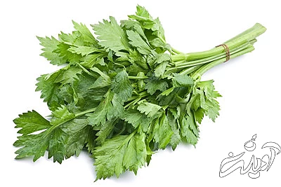 استفاده از پوست میوه, ویژگی های پوست میوه‌ ها